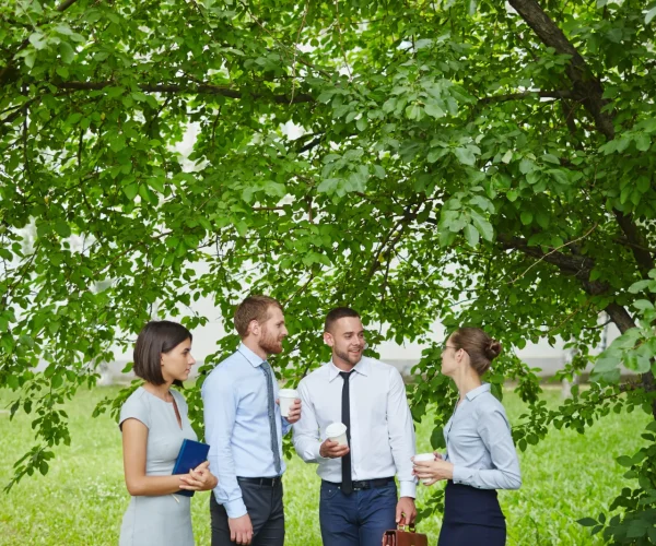 talking-under-tree-2025-03-14-02-57-35-utc